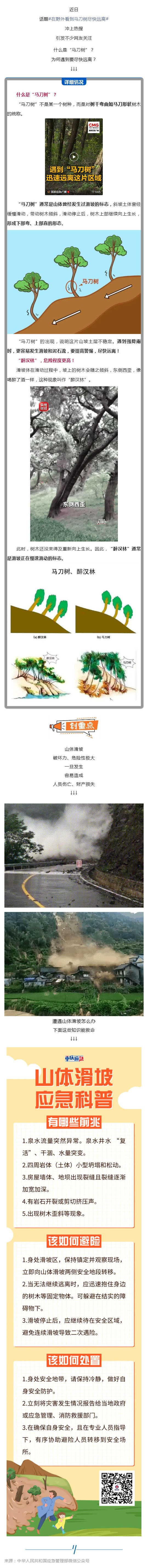 群防群治百日攻坚 (99)丨遇到“马刀树”“醉汉林”，快跑！_壹伴长图1.jpg